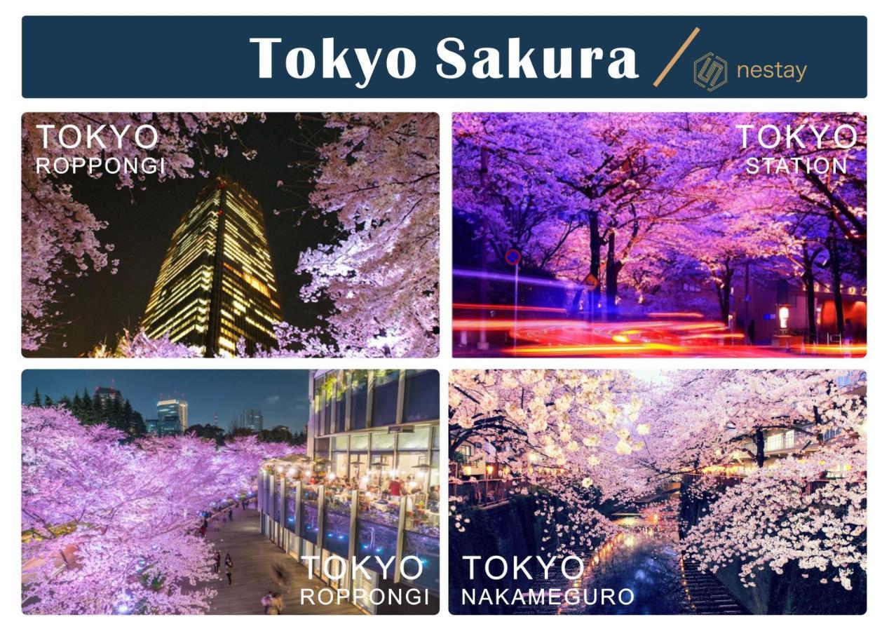 nestay inn tokyo otsuka 103 Eksteriør billede